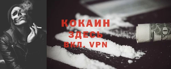 гидра Алексин