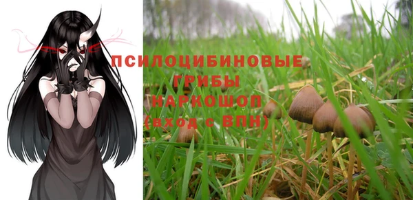 PSILOCYBIN Алексеевка