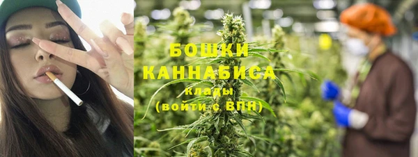 PSILOCYBIN Алексеевка