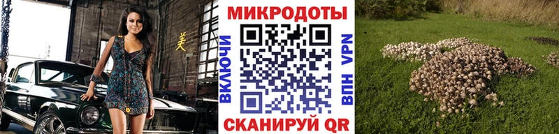 где можно купить Дно нарко площадка наркотические препараты Псилоцибиновые грибы ЛСД