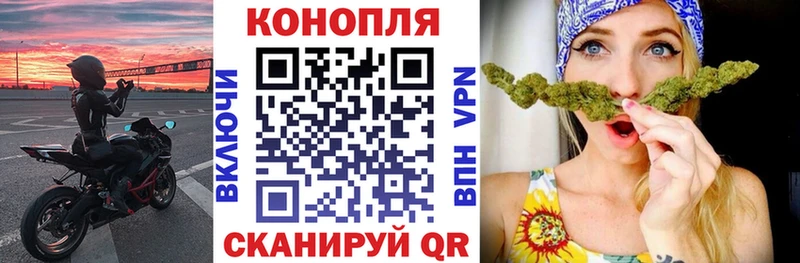 где можно купить   Дно  Бошки Шишки ГИДРОПОН 